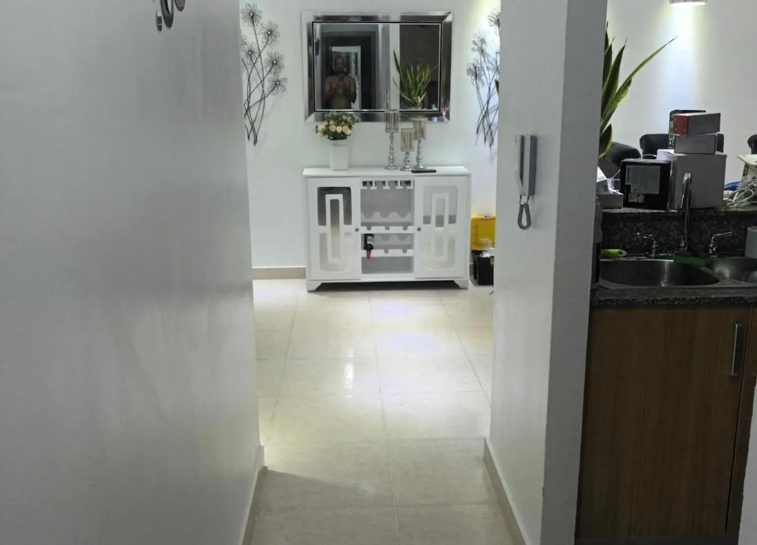 סנטיאגו דה לוס קבאלרוס Amueblado Tranquilo Apartamento En Santiago-Licey דירה סנטיאגו דה לוס קבאלרוס